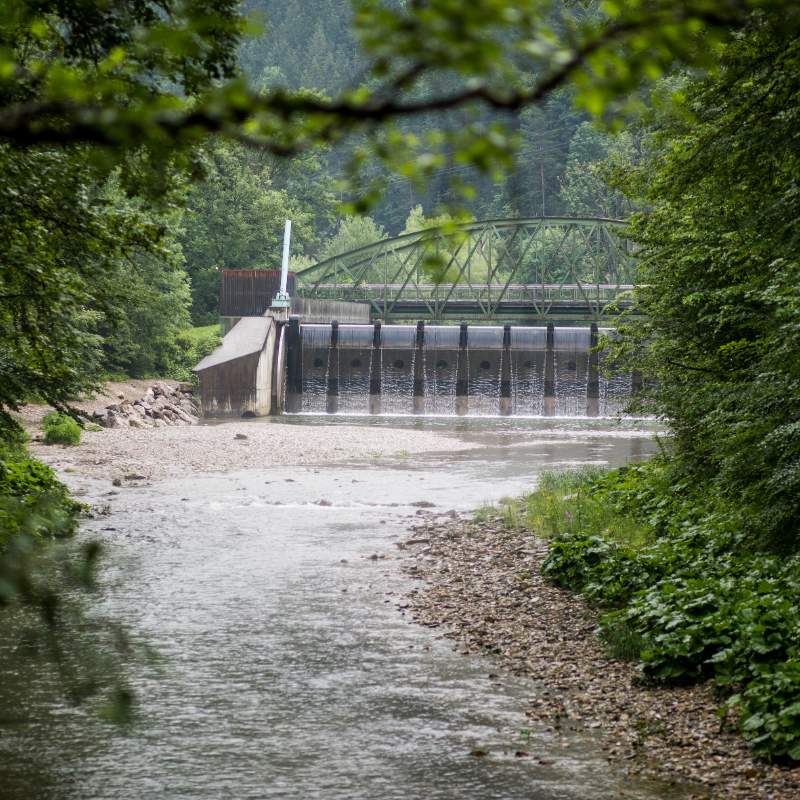 Wasserkraft